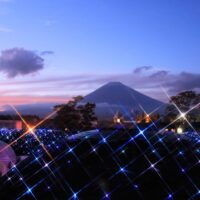 未来は変えられない