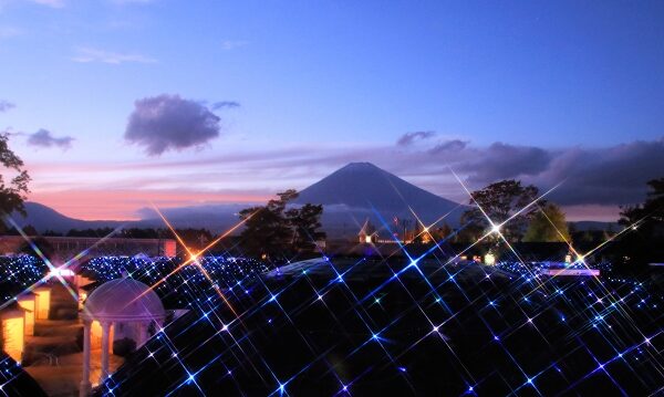 未来は変えられない