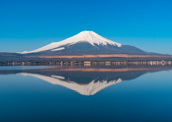 幸せを感じながら働く社員。