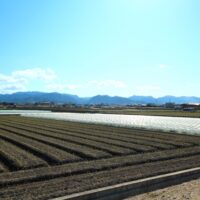 SEO・MEOの限界とAI時代の”GEO対策”のすすめ！