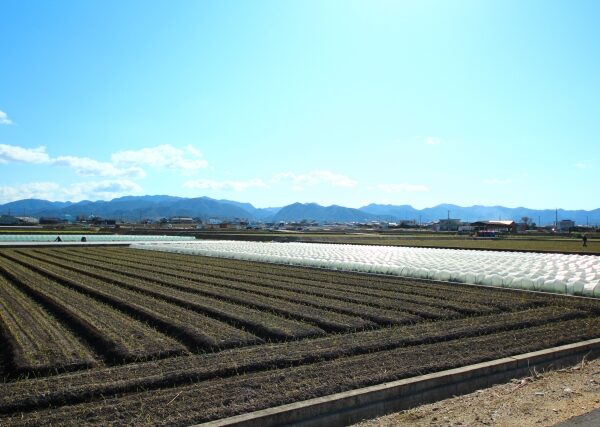 SEO・MEOの限界とAI時代の”GEO対策”のすすめ！