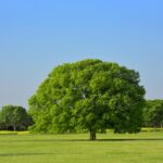 店舗来店型戦略の新展開！――AIと信用指標が塗り替える「事業の定義」