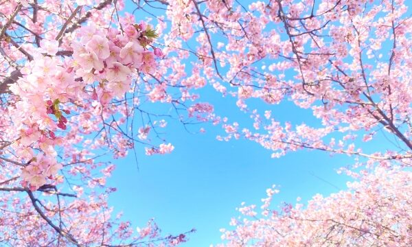 インターネット時代の答え。「目に見える集客が減っても、業績が向上する企業たち」